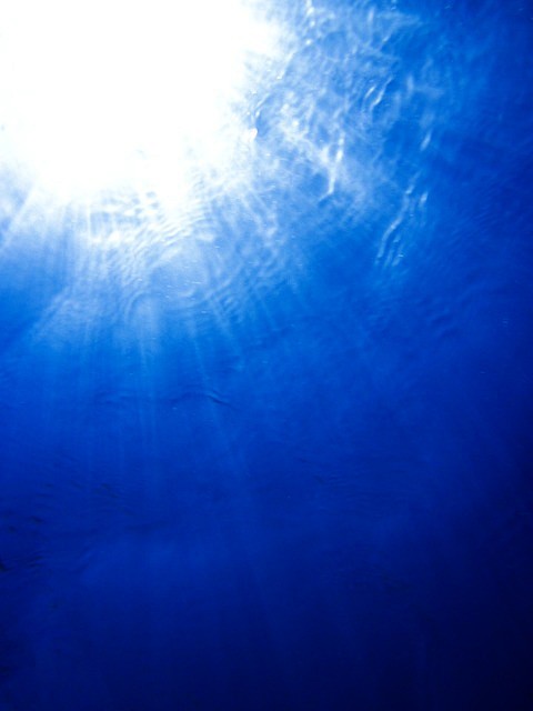 下面, 在下面, 蓝色, 深, 潜水, ...