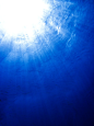 下面, 在下面, 蓝色, 深, 潜水, 跳水, 光, 海洋, 水肺, 海, 太阳, 表面, 根据, 水下, 水