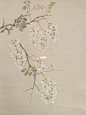 槐花飘香（附步骤图）
