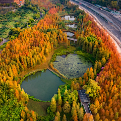 xlsjb采集到滨水、栈道、湿地、汀步、码头