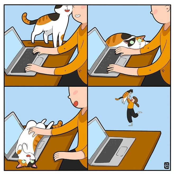 猫猫漫画