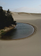 Sand Dunes, Oregon: 