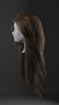 Realistic Hair Tutorial using XGen & Redshift, Obaida Hamdi : In this tutorial we will be covering production tips & tricks for styling and rendering realistic female hair with Maya & XGen using Redshift renderer.
www.cglyo.com