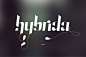Hybrida typeface on Typography Served #采集大赛#