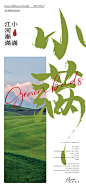 小满节气海报-源文件