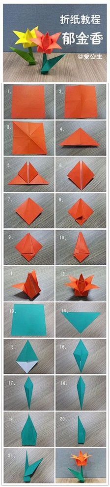 手工达人的折纸教程：郁金香