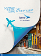 Tame Airline destiny : Tame Ailrine destiny campaign