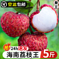 荔枝王-主图1