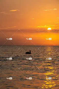 黎明 手机壁纸 日落 海洋 海 锁屏壁纸 墨西哥湾 Ipad 壁纸