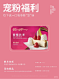 没有人可以拒绝这一口“芝”味