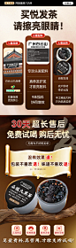 九黑茶-详情首屏