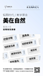 美在自然