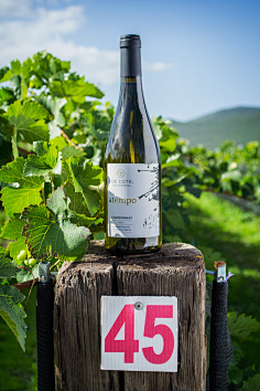 红酒-花瓣网|陪你做生活的设计师 | hampagne m. brugnon