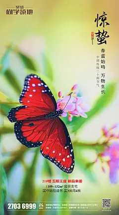 【源文件下载】 海报 房地产 二十四节气 惊蛰 自然 生态 蝴蝶
