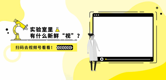 赛3