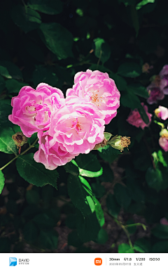 DavidDesignCN采集到Photography