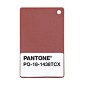 PANTONE PLASTIC STANDARD Chips - plastic color in Pantone PLUS colors