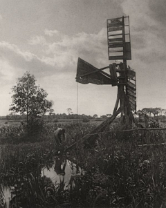 龙二采集到P.H.埃默生 Peter Henry Emerson