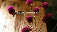 经典伤感爱情语录意境大图唯美桌面壁纸高清http://www.kutoo8.com/