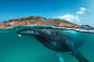 SPLIT, the Beauty of the Marine World and Above