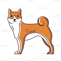 可爱的,纯种犬,秋田,直的,华丽的,性格,自然美,幽默,友谊,宠物
