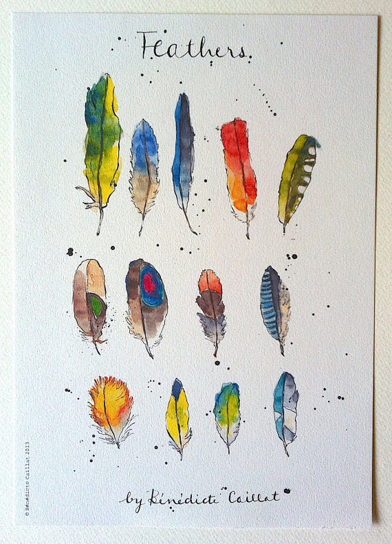 Feathers Art Print f...