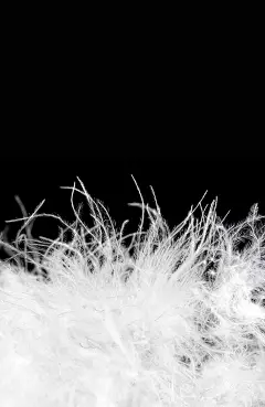 羽绒/鹅绒/鸭绒/PNG透明-花瓣网