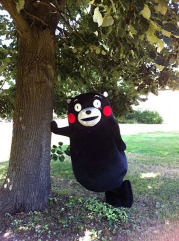 Kumamon: 