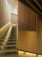 加拿大 Audain 艺术博物馆 / Patkau Architects : 森林中的线性博物馆。