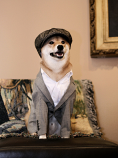 1漂亮姐姐采集到杂采集mensweardog.tumblr.