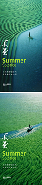 夏至节气海报