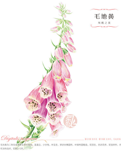 转转kira采集到彩铅