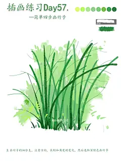 零基础插画教程｜简单四步画竹子！ - 小红书