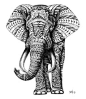 elephant patterns