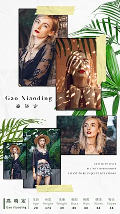 竖版胶带拼贴底部式资料5图模卡