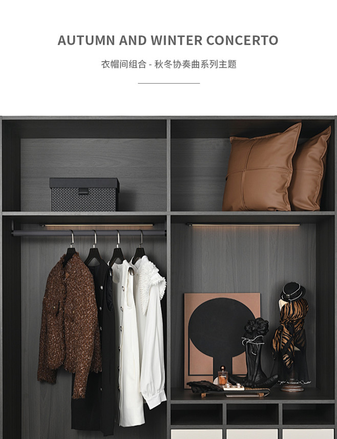 棕色现代高端女士样板房间衣帽间衣柜衣服摆...