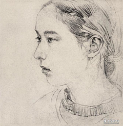 蝴蝶泉畔是我家采集到插画