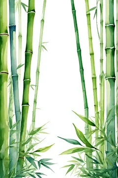 国潮风中国风竹子竹林自然风景插画