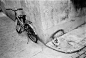 候补街的猫与脚踏车

转自豆瓣-Hades-https://www.douban.com/people/iamway/
