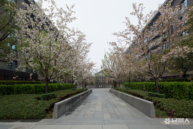 永威 · 上和院3