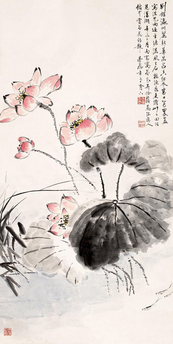 永远的爱莲说