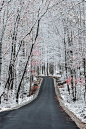 Gatlinburg, Tennessee in Winter