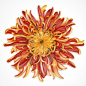 Bold Paper Quilled Artworks by JUDiTH + ROLFE Burst With Color and Character : Minnesota-based artistic collective JUDiTH + ROLFE sculpt paper into voluptuous plant and flower motifs blossoming with movement and character. Featuring many botanical species