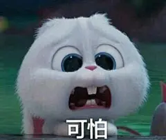 爱宠大机密超萌兔子表情包