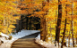 唯美的秋冬季风景图片(4)