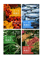 日常打卡｜海报练习。你今日食左未啊？