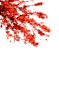 红色花枝5@北坤人素材