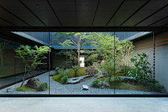 celosia采集到B-asian garden