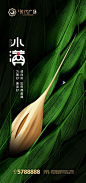 【源文件下载】 海报 二十四节气  小满 麦穗 绿金