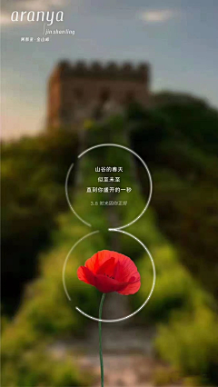 大志志大采集到节气